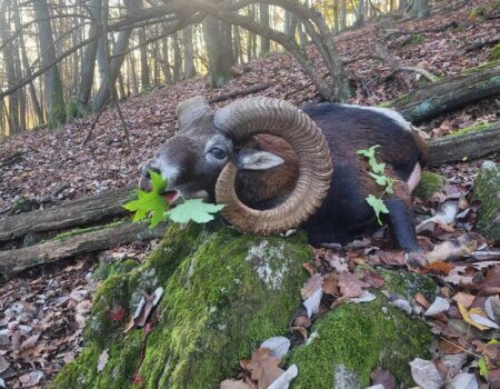 wta_2140_4535f3ff-169d-4c2b-b49f-3f0e86ea715a