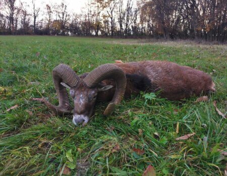 wta_2140_4b81b539-c373-493a-8610-aa8f15bcbb69