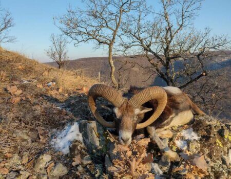 wta_2140_64ca9f79-f4b1-41c3-bd2d-5e5abf5052c1