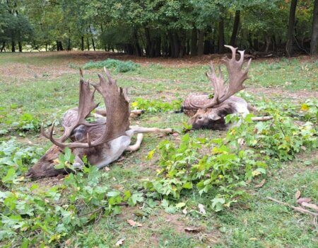 wta_2140_6f8c010f-84f0-4bd6-8103-32ff42322997