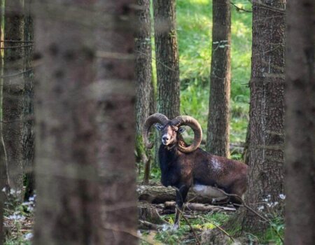 wta_2140_708c92a9-1fe2-45cb-8fe6-fa1796f4ea1a