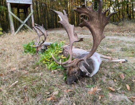 wta_2140_7fb48351-21c4-4ce3-91a2-36b05757e1c9