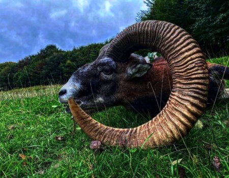 wta_2140_806F3070-BB47-471E-86BE-836AE15D8231