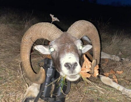 wta_2140_827f69a0-3192-4790-8096-fc786acb71a8