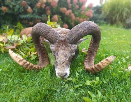 wta_2140_8ba84ce8-8522-4a66-be3b-0edb5fb711ca