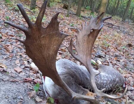 wta_2140_a587e4c9-3c89-42dd-90ca-f2bd92f000ce