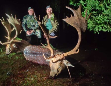 wta_2140_b11af78f-6a11-4617-950f-14888e169cca