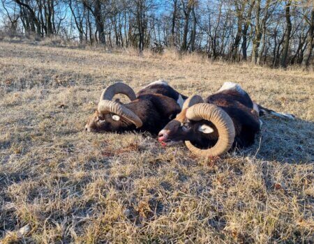 wta_2140_be4f6a59-1cc2-47ca-a505-d2a6e0c5a02b