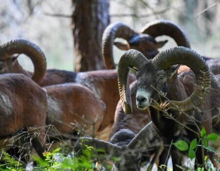 wta_2140_e6a7e190-9bf7-4539-a7d3-c0fae77d8cc1