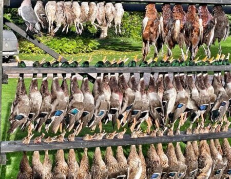 wta_2141_WhatsApp Image 2022-07-06 at 1.23.35 PM (1)