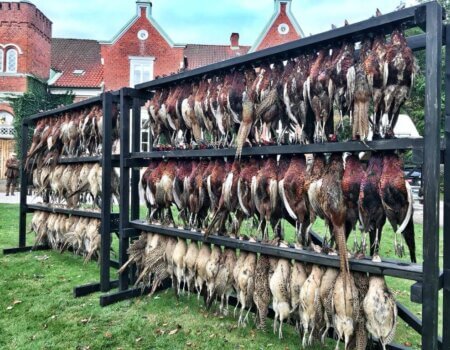 wta_2141_WhatsApp Image 2022-07-06 at 1.24.40 PM (1)