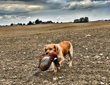 wta_2141_WhatsApp Image 2022-07-06 at 1.24.40 PM