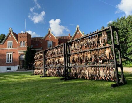 wta_2141_WhatsApp Image 2022-07-06 at 1.24.40 PM (5)