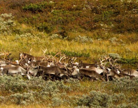 wta_2143_WhatsApp Image 2022-07-06 at 10.43.27 AM (1)