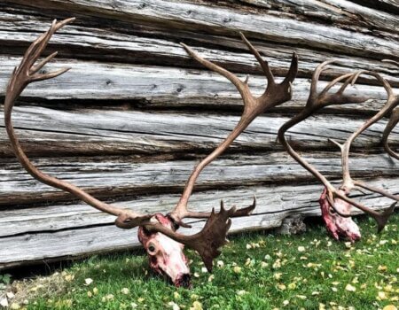 wta_2143_WhatsApp Image 2022-07-06 at 10.43.27 AM (5)