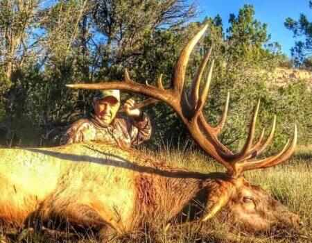 wta_2144_F0087D5F-BAC9-4A61-90EA-644ECE3E3F1A