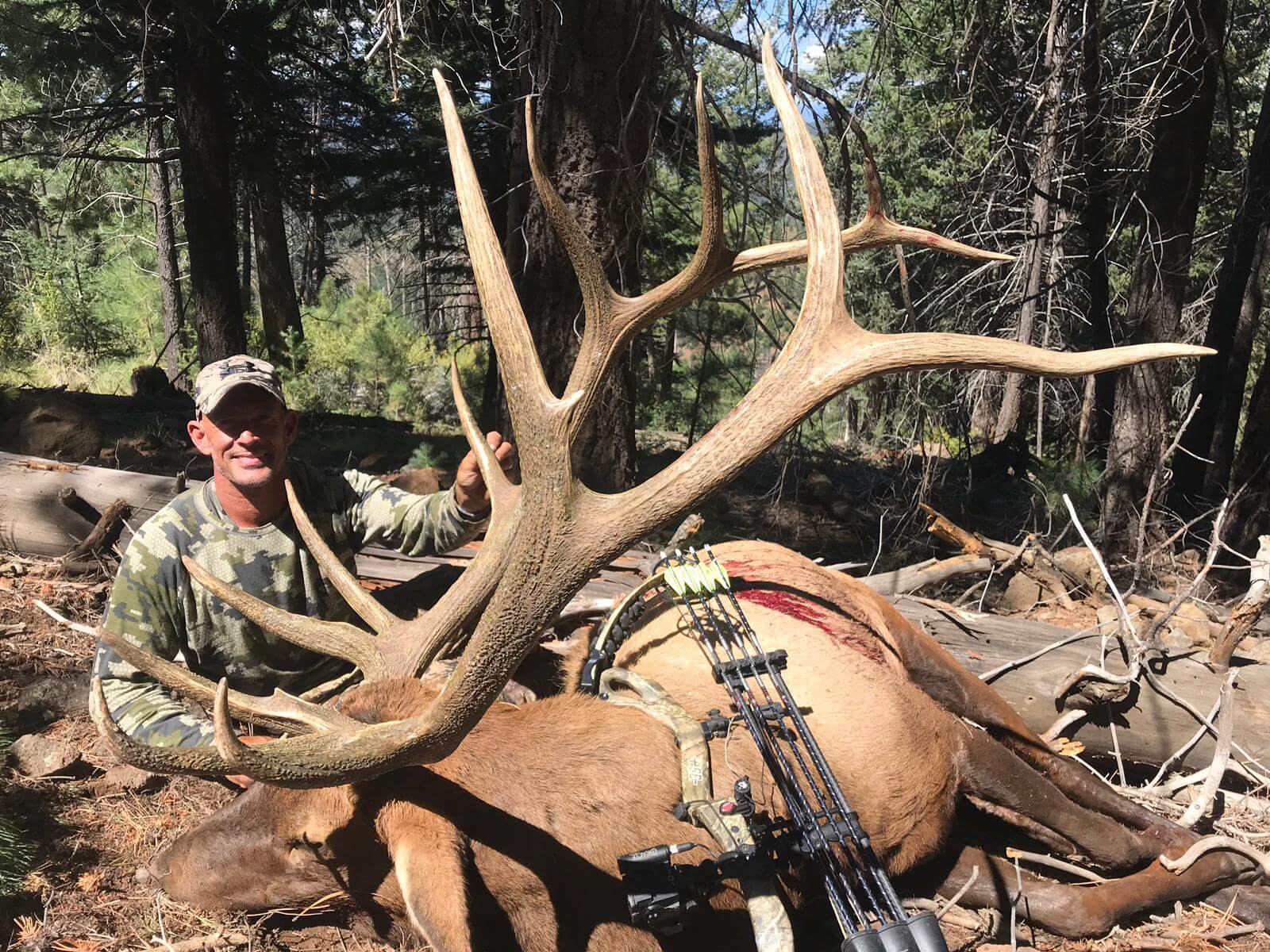 New Mexico Gila Unit 15 Elk Hunt Worldwide Trophy Adventures