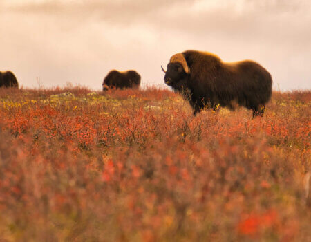 wta_2157_26DB578F-9A56-4F75-95D7-95352C8AF6ED