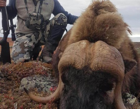 wta_2157_491E5BF0-A11B-4E5E-AE0E-3C10A804D7AD