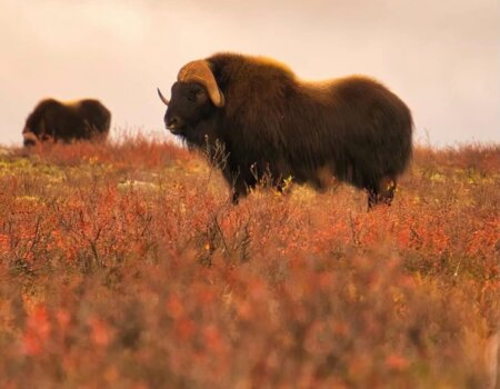 wta_2157_78D05C02-F151-48CA-B2C3-7C83F06FB758