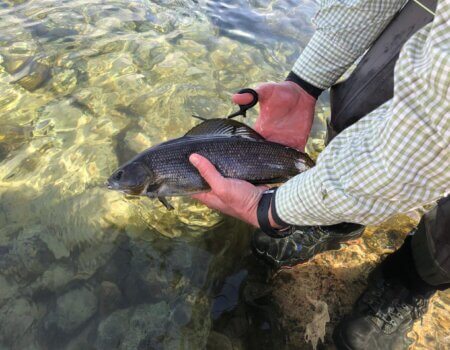 wta_2157_8D0CBB09-5A61-4A7E-A217-ACFF8EE0841E