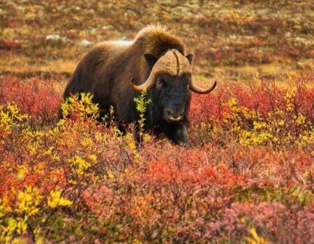 wta_2157_8FCD4E02-2969-4D18-BE60-6ACADD497131