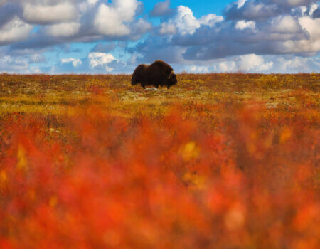 wta_2157_AAA1698F-1920-4E5F-A447-8BFC3D83CEBB