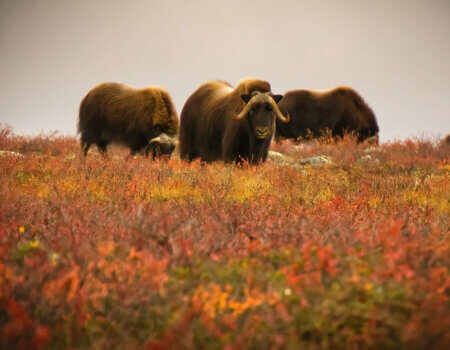 wta_2157_DB6C0F12-6AAD-4677-B026-12DC42D6859D