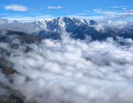 wta_2161_WhatsApp Image 2022-08-08 at 9.38.44 PM (2)