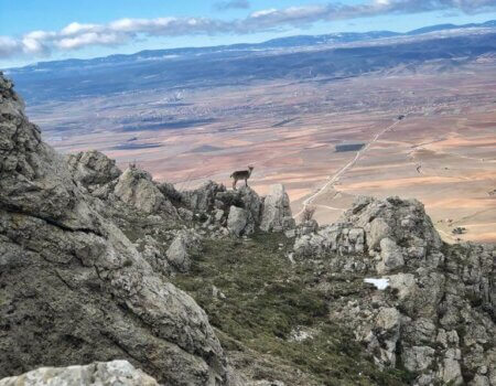 wta_2161_WhatsApp Image 2022-08-08 at 9.38.44 PM (6)