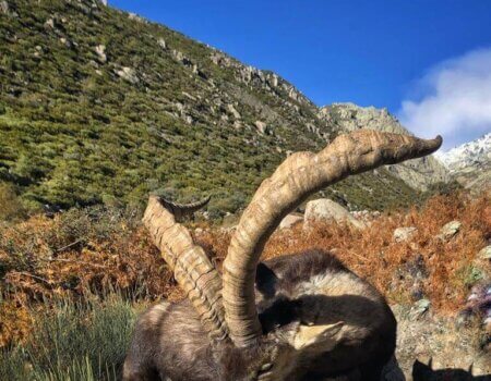 wta_2161_WhatsApp Image 2022-08-08 at 9.40.26 PM (1)