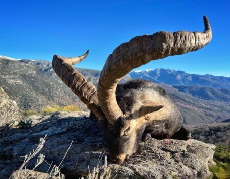 wta_2161_WhatsApp Image 2022-08-08 at 9.40.26 PM (2)