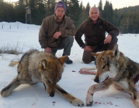 wta_2162_20190326_063449