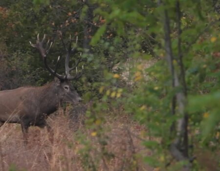 wta_2162_DSCN4962_Moment7