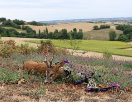 wta_2678_WhatsApp Image 2025-07-30 at 01.12.47 (1)