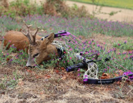 wta_2678_WhatsApp Image 2025-07-30 at 01.12.47