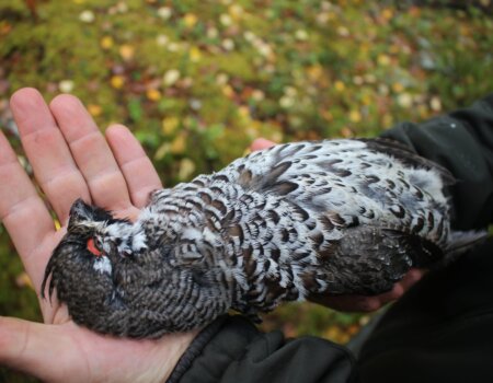 wta_2137_56bcc375-3c06-4374-ba0c-321728e1925e