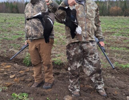 wta_2137_826c938c-09b3-4c34-ab0a-8280b7014bf6