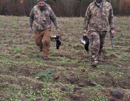 wta_2137_84755561-2ec9-4812-9485-cf1c9baf1d7d