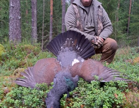 wta_2137_cfb425c9-79a1-4c53-82f6-e0d215772b02