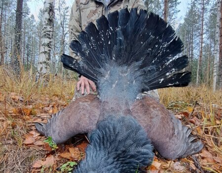 wta_2137_d1d9ed52-4932-4b11-b409-7e10c40a782f