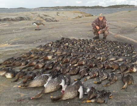 wta_2138_Duck hunt (14)