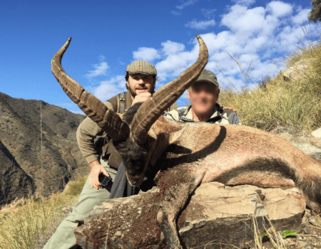 wta_2161_WhatsApp Image 2023-08-11 at 12.11.14 (1)