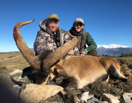 wta_2161_WhatsApp Image 2023-08-11 at 12.12.41