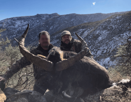 wta_2161_WhatsApp Image 2023-08-11 at 12.12.43