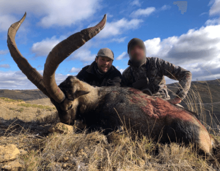 wta_2161_WhatsApp Image 2023-08-11 at 12.12.43 (6)