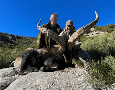 wta_2161_WhatsApp Image 2023-08-11 at 12.12.43 (7)