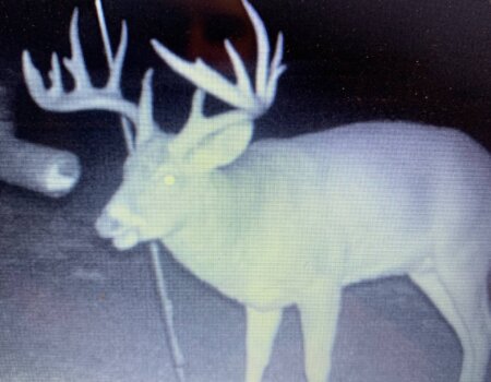 wta_2163_IMG-8950 (1)