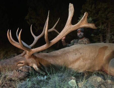 wta_2167_3F5403CA-C7CD-4FD2-94C8-BD39F7F30F4C