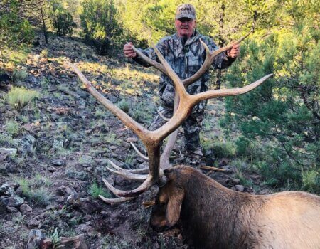 wta_2167_D954D643-BA48-460D-9F8A-2DC332DFC315